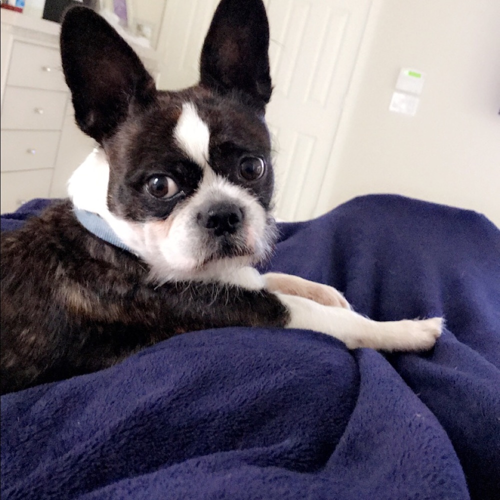 Meet your Posher, Liz